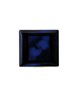 CASE (POWDER BLUSH DUO) product page