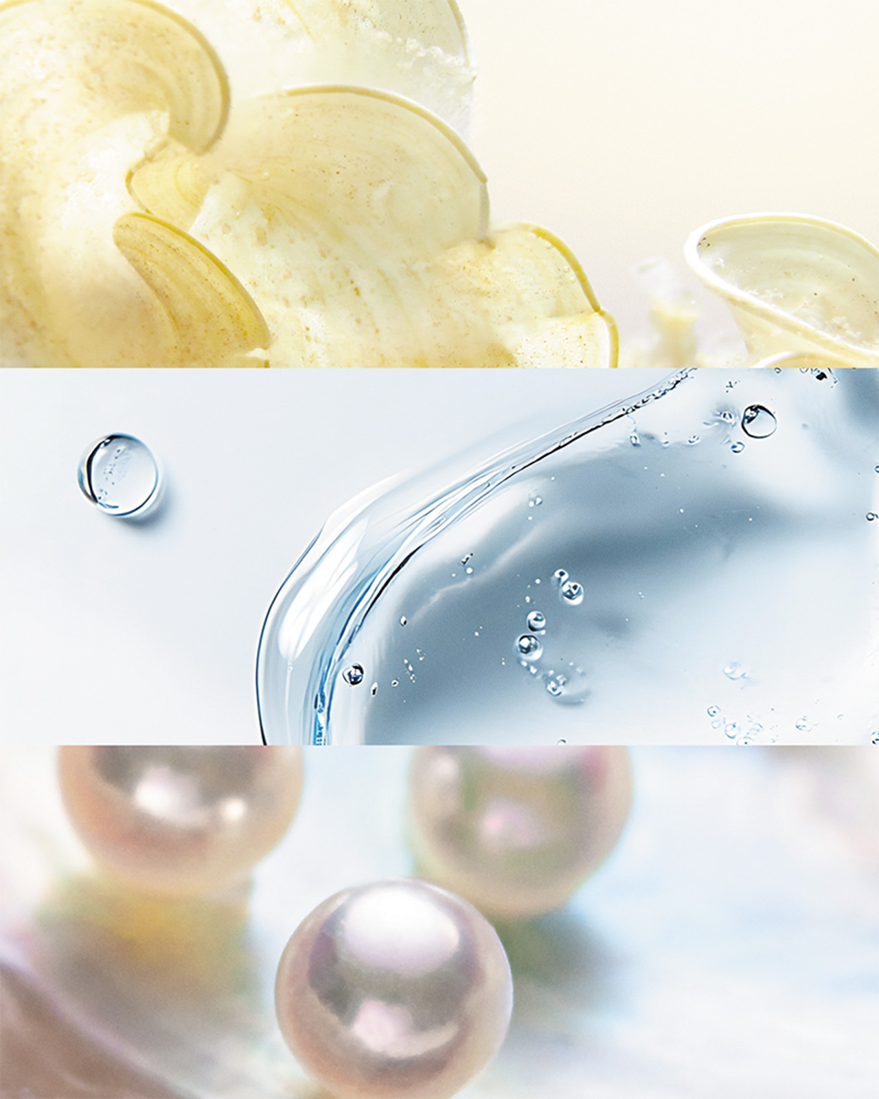 Photo of Marine Prism Complex ingredients shown in three panels: translucent marine plant slices, clear watery gel with bubbles, and luminous pearls.